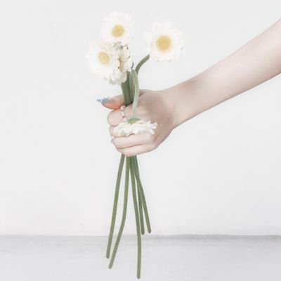 ayohelloitsMini's profile picture. lee dongwook, choi sooyoung, and girls' generation