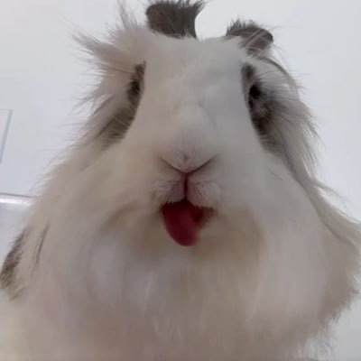 tykemowers's profile picture. check out INFINITi on all platforms ⬇️