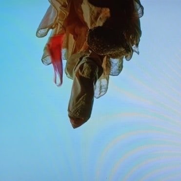 du9du9du9's profile picture. 그대들은 나아가시오