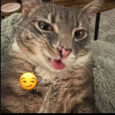 Boriojj's profile picture. wachu lookin good lookin :)