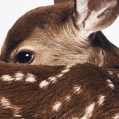 clayssica's profile picture. 