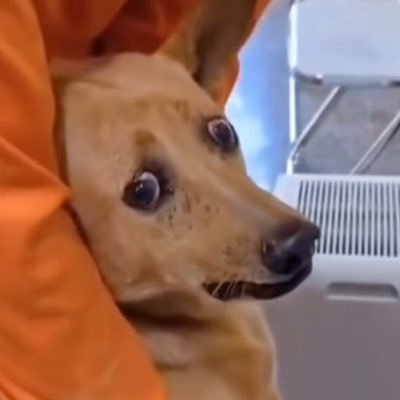 ror63312's profile picture. 