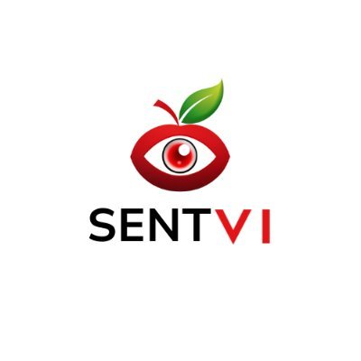 officialsentvi's profile picture. SentVi transforms complex data into clear, insightful visuals. Uncover hidden connections, identify patterns, and make informed decisions FAST.