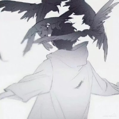 ChenJia8245's profile picture. 