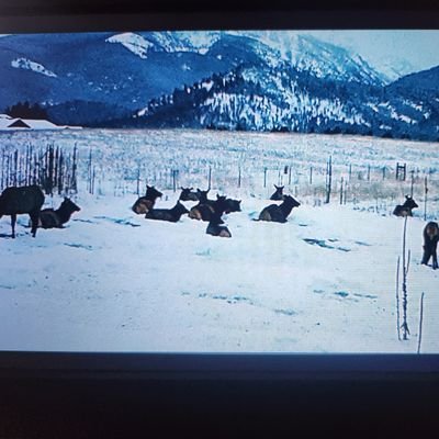 AnthonyR9158's profile picture. GypSii🌞🌈🚡QueeNii & EmPreS🎠🌎🌋
fan...SFBaY415.686.1859.SacTowN
PsychBS.HumboldT🌎Colorada,FirenZiii
DeepC.TuPaC.NaturalNwS.PaleoValY.
OrGanifi.BiopTimiZeR