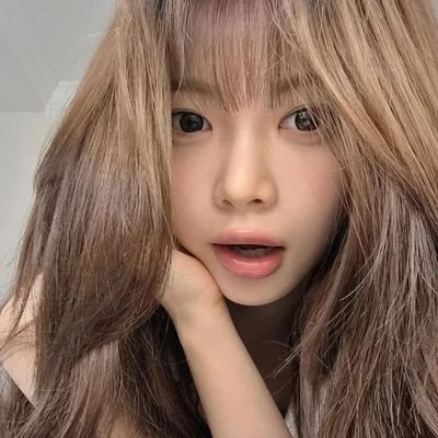 louvrins's profile picture. 🐕‍🦺 🦅🐢🦊🐶