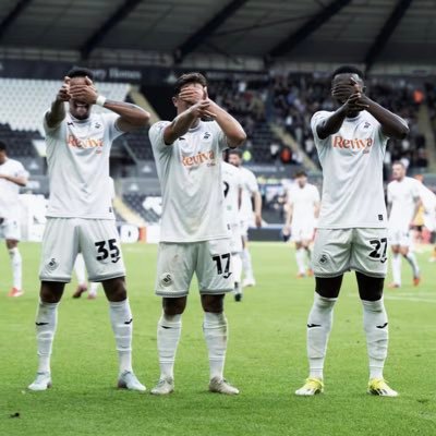 scfc_callum_'s profile picture. Swansea home and away 🦢