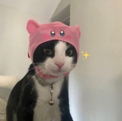 filmflora_as's profile picture. A quiet documentation of life