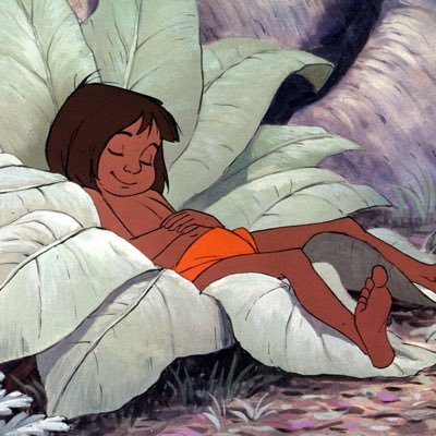 ZooSousBallons's profile picture. que la famille