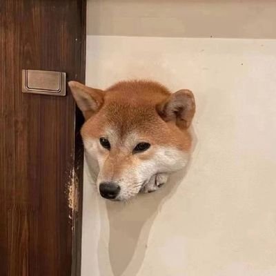 aaahuttkx's profile picture. 好玩