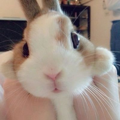 1m0_ju's profile picture. 