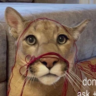 AlexiBouchard's profile picture. t e r m i n a t e