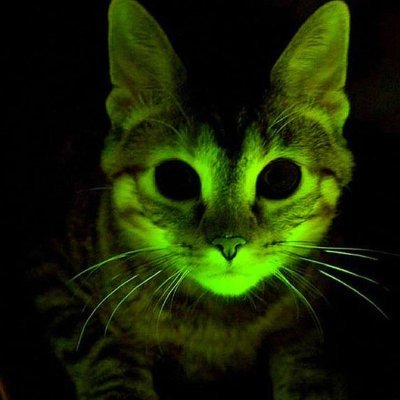 xenoassets's profile picture. This user has changed their username 69420 times.