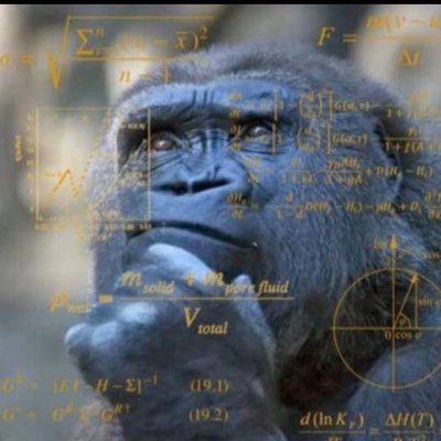 AndreiA77877's profile picture. Half-Ukrainian Half-Orc American △
explaining Applied Thirdworldology to the anglosphere, because y'all don't have a clue