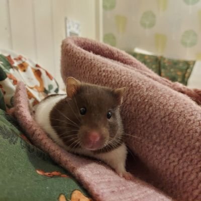 sophievlogs101's profile picture. hi 👋🏻👋🏻• I am a huge Eastenders fan 🎭🎭🎭• Stranger things fan•