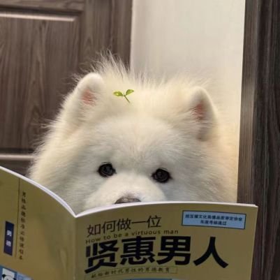 yesushansi's profile picture. 林深人不知