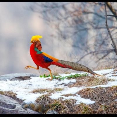 Sequ_enc's profile picture. إِنَّ اللَّهَ وَمَلَائِكَتَهُ يُصَلُّونَ عَلَى النَّبِيِّ يَأَيُّهَا الَّذِينَ ءَامَنُوا صَلُّوا 
عَلَيْهِ وَسَلِّمُوا تَسْلِيمًا