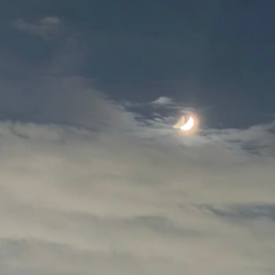 n_nU_Ui0's profile picture. 🎧・📕 / STARGLOW /