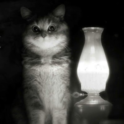 IstoriiNa98922's profile picture. 