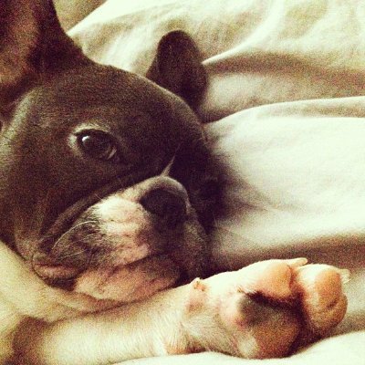 CountryInHerH's profile picture. Center-left. Supports democracy and positive progress. 🚫Bots🚫Trolls🚫Fake drama. — Only me, my thoughts, and maybe a GIF or two.💙