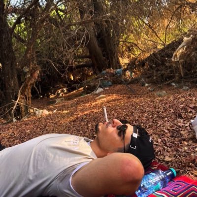 thefisteer's profile picture. 🦚