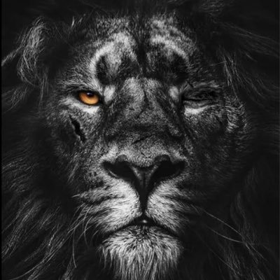 Tymiller1127's profile picture. I need nothing but I give thanks 🙏 for all that I have 🌸 110011 8888