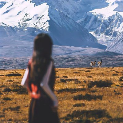 jkjpv's profile picture. Every effort is a stepping stone to success #BTC