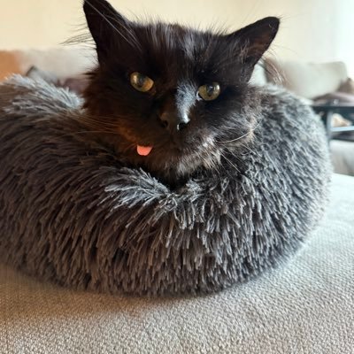 brian_brigade's profile picture. I’m happy to meet you 🤘