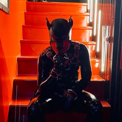 NickPupper's profile picture. NSFW! 18+丨Thai Kinkster | into Transformation Fetishes | Latex | Puppy丨Realistic Mask | 200X boi | EN/TH/中文 (一点)