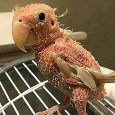 ebimh9209's profile picture. 