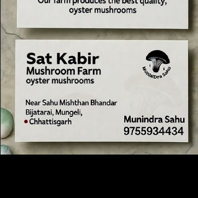 munindra_sahu's profile picture. ✨KABIR IS SUPREME GOD🏳️*
🍄फ्रेश ऑस्टर मशरूम उपलब्ध..!* 🍄 
*मुंगेली हमारे यहां फ्रेश ऑस्टर मशरूम उपलब्ध है ।