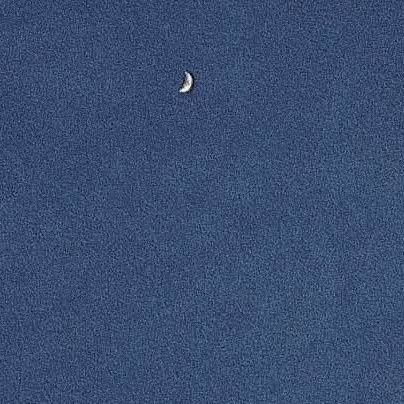 rishh1005's profile picture. 