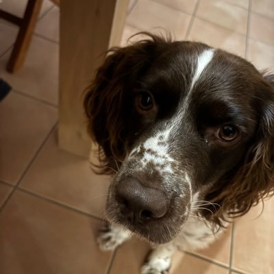 titouancreach's profile picture. Software engineer, functional programming lover, neovim enthusiast.