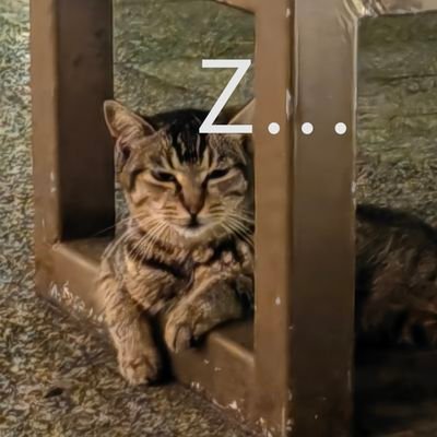 HoneaMarry28832's profile picture. 🇨🇳|日本語勉強中...... 

真夏の雲になりたい