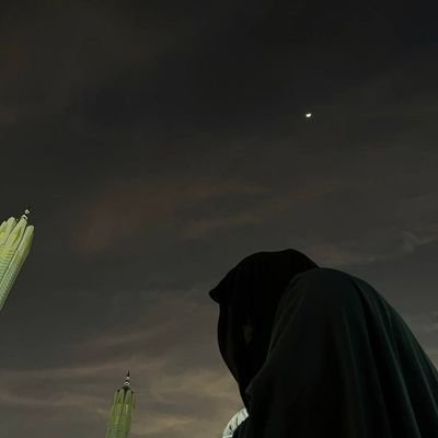 pubera's profile picture. 