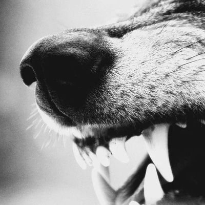 Outhsine's profile picture. 