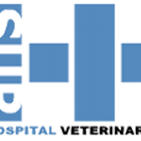 HospitalVeterinarioS (@veterinariosur) 's Twitter Profile