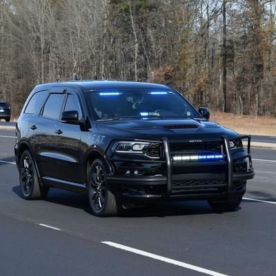 seedanknoob29's profile picture. 