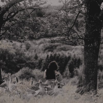 nellovon's profile picture. ⠀⠀⠀⠀⠀⠀⠀ ⠀⠀⠀⠀⠀⠀⠀ ⠀⠀⠀⠀⠀⠀⠀ ⠀⠀⠀⠀⠀⠀⠀ ⠀⠀⠀⠀⠀⠀⠀ ⠀⠀⠀⠀⠀⠀⠀ ⠀⠀⠀⠀⠀⠀⠀ ⠀⠀⠀⠀⠀⠀⠀ ⠀⠀⠀⠀⠀⠀⠀ ⠀⠀⠀⠀⠀⠀⠀ ⠀⠀⠀⠀⠀⠀⠀ ⠀⠀⠀⠀⠀⠀⠀ ⠀⠀⠀⠀⠀⠀⠀ ⠀⠀⠀⠀⠀⠀⠀ ⠀⠀⠀⠀⠀⠀⠀ ⠀⠀⠀⠀⠀⠀⠀