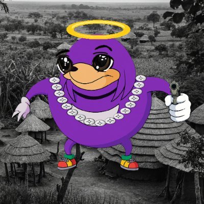 fibonacki's profile picture. 