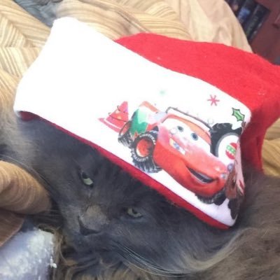 pepperbug's profile picture. 