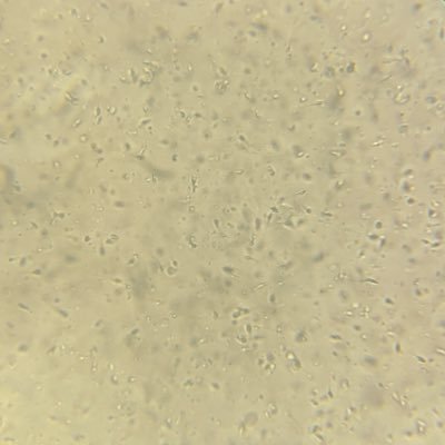 XxXJOvvlt's profile picture. 