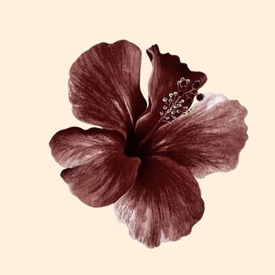 TwilightOracles's profile picture. @morganbahng & @saule_____ tiragens com baralho lernomand e tarot, mais informações no fixado!