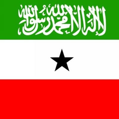 Mohamedabd99471's profile picture. 