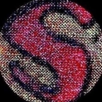 audiostoker's profile picture. 労働の果実