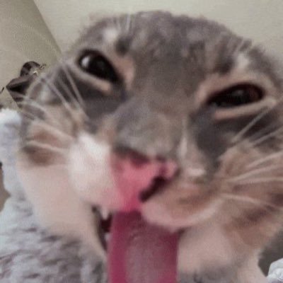 krb070's profile picture. Doctor 👨‍⚕️ Batman If (B) Doesn't Exist!!