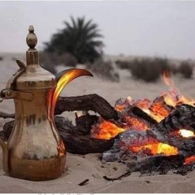 AmSa1Fa's profile picture. 