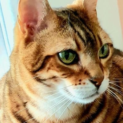 Norine_27's profile picture. Age:35/♋/ Spiritual/ Sketcher🎨/A dancer and a nature loving🌳/Loves various music🎵/ Likes south american food🍲/Watches various anime/serie/👩‍⚕️⚖️/ 🇨🇵🇸🇷