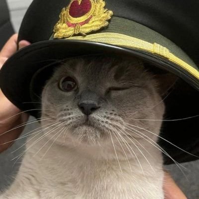 cetomn7's profile picture. Fazla düşünmekte zararlı...
Sosyalist/kemalist
Anti-kapitalist/Anti-emperyalizm
☭