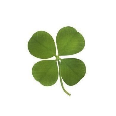 clovercharmie's profile picture. 24 - she/her
minors dni!!